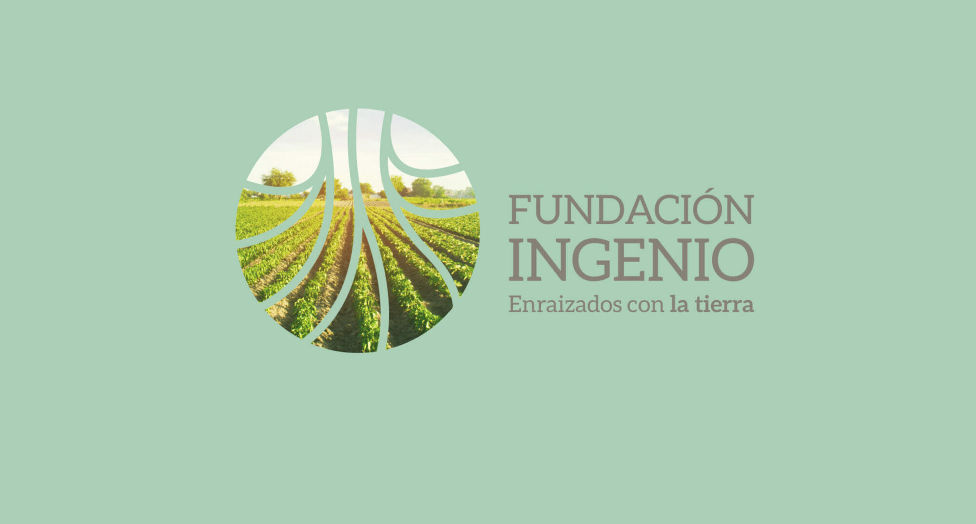 Fundación Ingenio