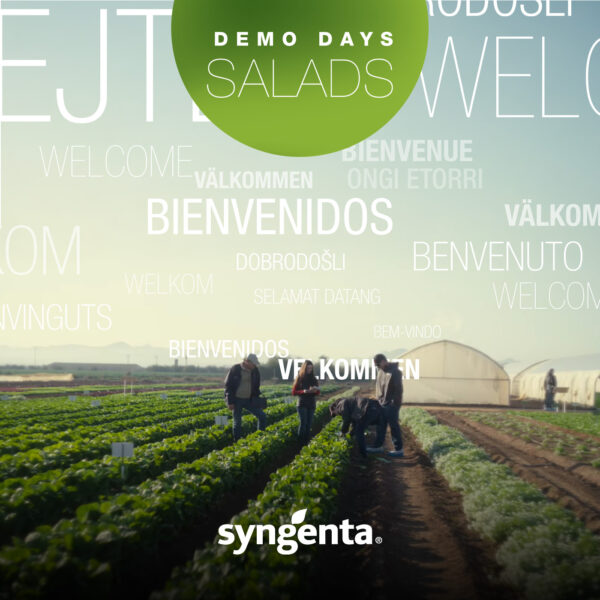Trabajos - Un día en el campo