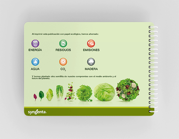 Syngenta Salads